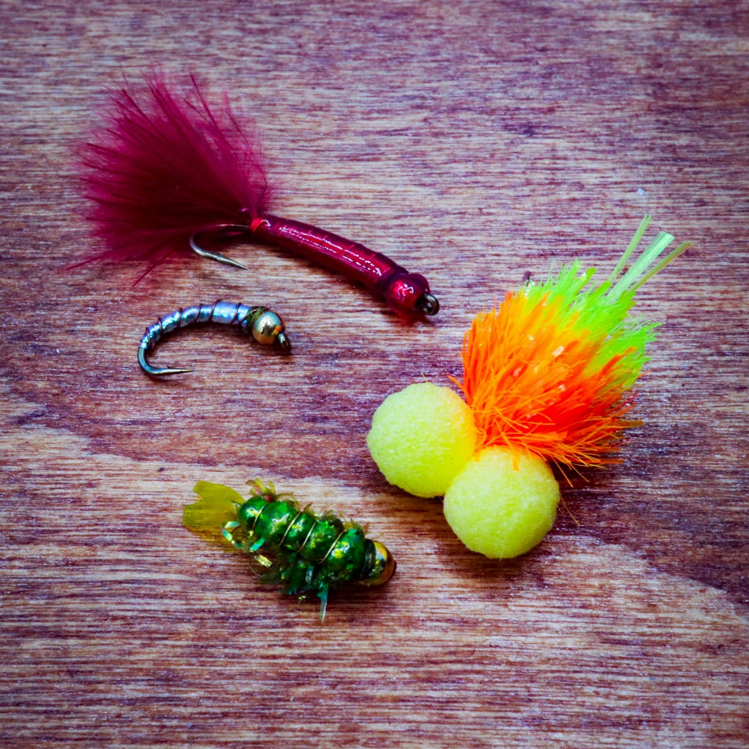 Cyruss 5pcs Fishing Flies Insect Simulation Flies Artificial Bait Fishing  Lure Made Durable to use : : Sports, Fitness & Outdoors