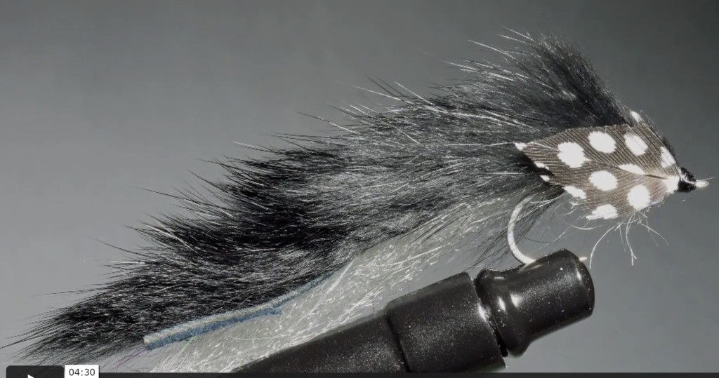 S20 OTB Brook Trout Streamer SFOTF