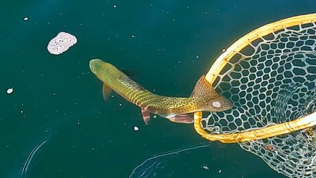 A Day out River Fishing Pic2