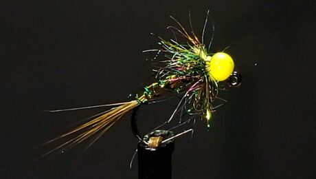 Brent’s Olive Holographic Jig Nymph Pic