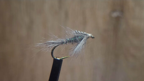 The Near Enough Nymph Pic