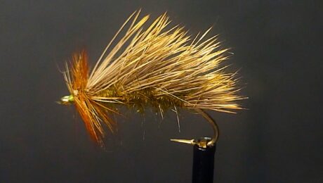 Traveling Sedge – Mikulak Version Pic