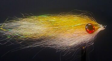 Brent’s Bronzeback Baitfish Pic1